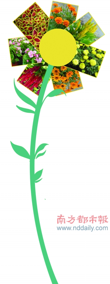 �V�|�����\(y��n)�r���M�ɵĻ����Ⱦ��^��·�ݾ�