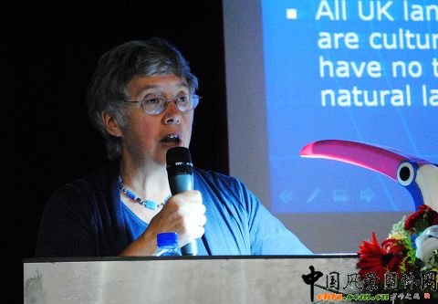 �l(xi��ng)�徰�^Ҏ(gu��)����푑�(y��ng)������������ʽ���������