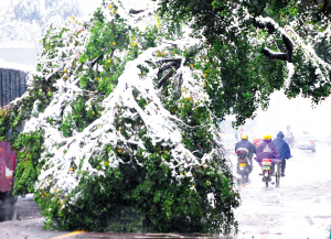 ��ľȱ�첲�����������l֮�^��