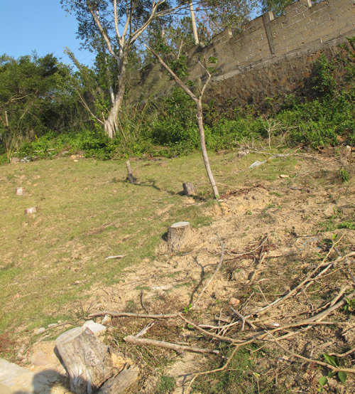 ���Ǹۣ��Ț����پG�� ��ˡ��G�������ˇ@Ϣ