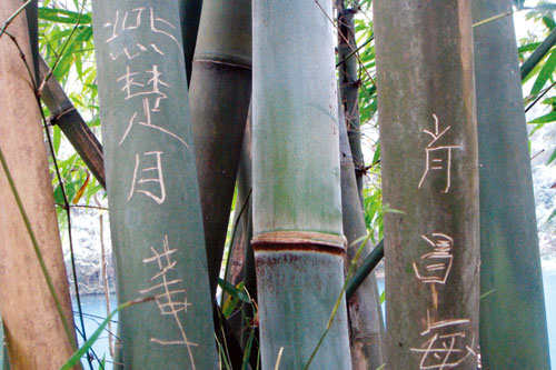 �Fꖣ�"����һ��"�؄�����Ř� �����ο����X���o