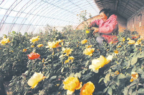 ��ɽ���������¼� �Ј�ǰ����