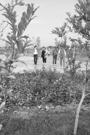 �����y�}���@�ﱻ����(�M�D)