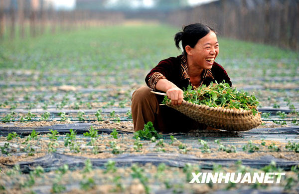 ���ϣ��������ܳ������n ��aֵ�_3�f��Ԫ