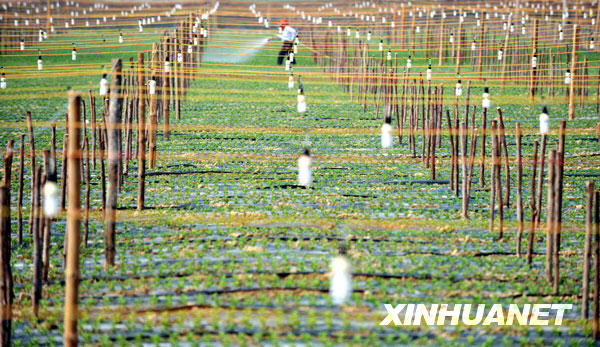 ���ϣ��������ܳ������n ��aֵ�_3�f��Ԫ