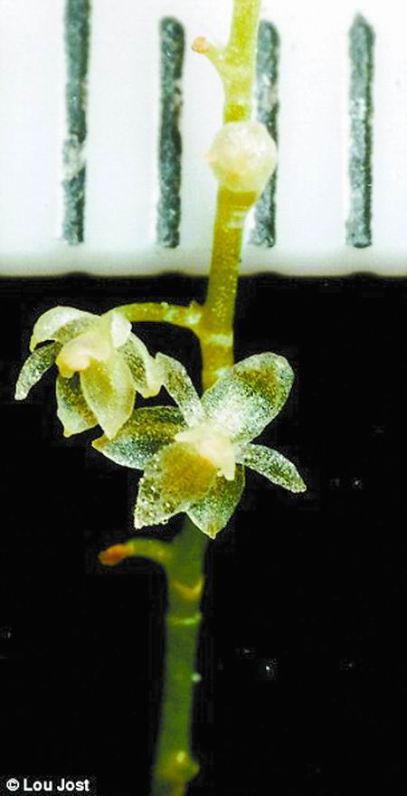 ��϶ࠖ�l�F������С�m�� ����H2.1���׌�