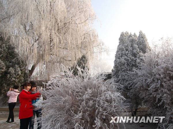 12��1�գ��\�������^�p�Fڡ������