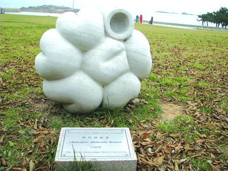 ���u���܈@�������o�˾S��