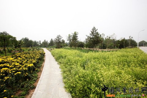 ���������Ľ�Ұ���@�����G�̹��@