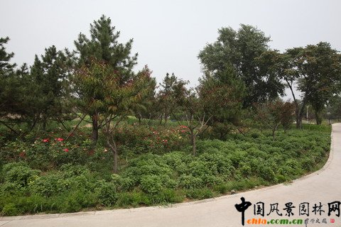 �G�̽�Ұ���@������Ƭ