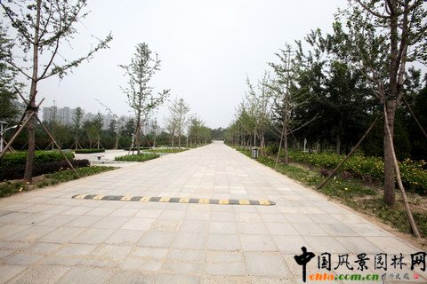 �������S�_�^�G�̽�Ұ���@���O����