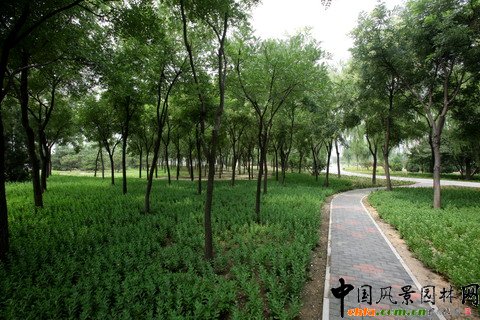 �������S�_�^�G�̽�Ұ���@���O����