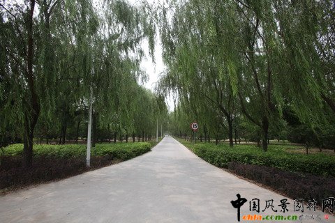 �������S�_�^�G�̽�Ұ���@���O����