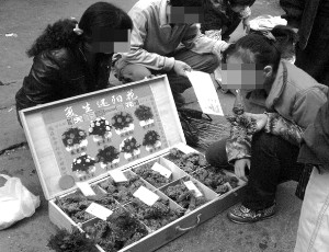 ���^�����ݲݡ���ˮ���_����ԭ��С؜�����ơ���