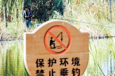 �Ϻ����������B������������B�Ɖ�