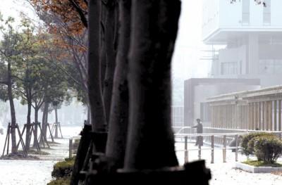 �Ϻ����������B������������B�Ɖ�