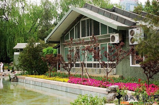 ���������Ƭ