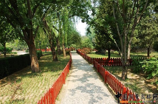 �ձ��@����ʯС·���������ľ�ř�