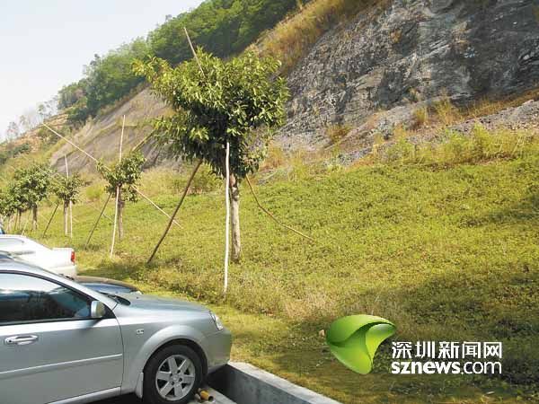 С�^�յ�զ���ˡ�������������(�M�D)