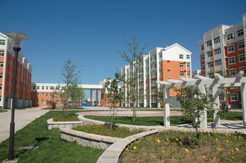 ������ɳ�ӵĲ��w����С�^ ����|�zӰ