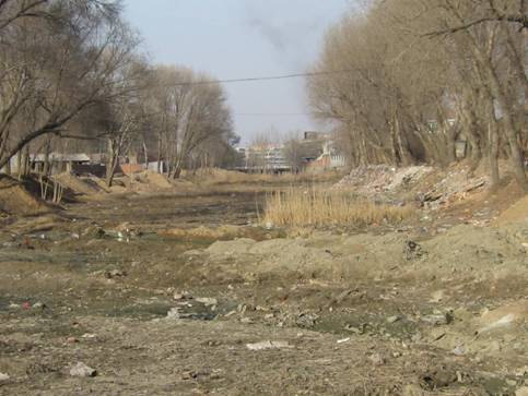 ��ɳ������ǰ���fò ����|�zӰ