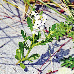 ���ô��о��l�Fֲ��Ҳ�ܡ��J�H�����D��