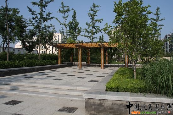 ��Ȼ����^ľ�|�ȼ܏V��