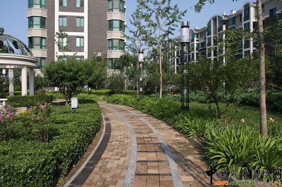 ���н���^һ��