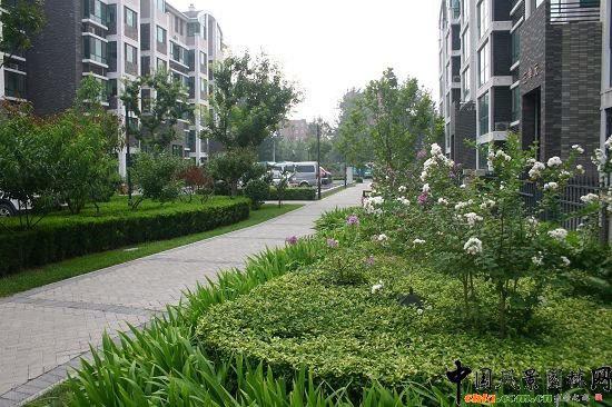 ���A���\�Ę��g�G��