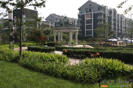 ���н���^�Wʽͤ