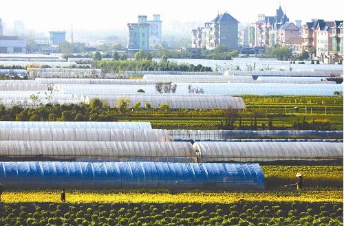 �½�ȫ悽o��ľ�w�����ӡ������_���f����