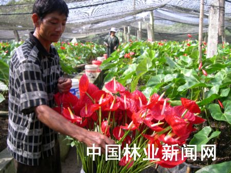 �D�龰���л��r�ڲ��ռt�ơ�