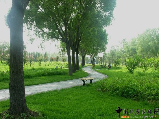 ����С��