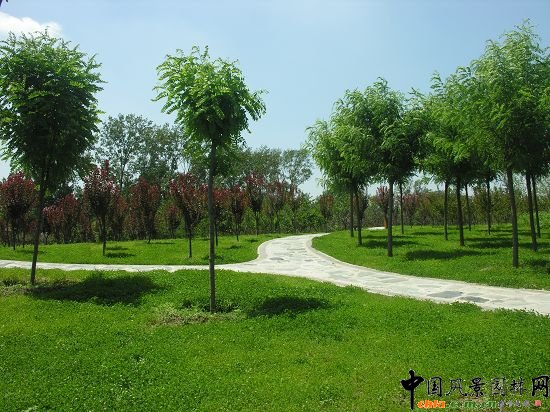 �����L��ϲ��