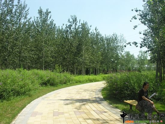 ������R��һ