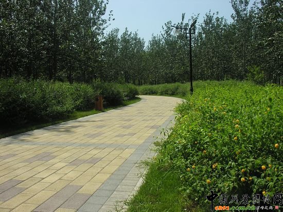 ��·�ԵĻ���