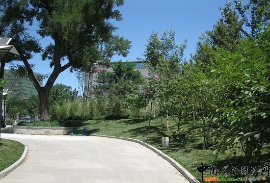 �Ї�����Ժ�|�T���^���侰�^�����Ч���D