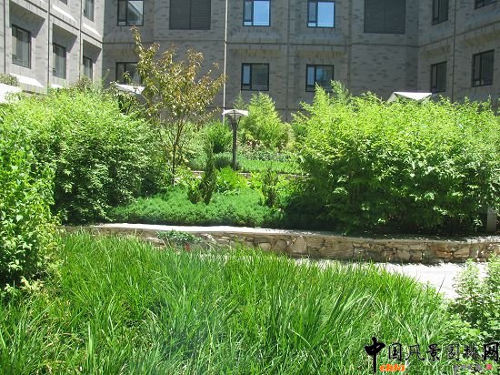 �Ї�����Ժ��픻��@���^�����Ч���D