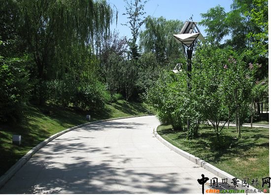 �Ї�����Ժ�|�T���^���侰�^��������Ч���D(