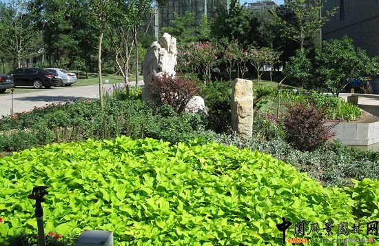 �Ї�����Ժ�Nֲ����ľ���^Ч���D