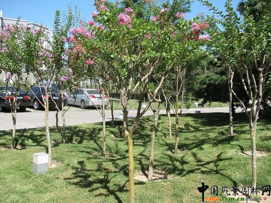 �Ї�����Ժ��ޱ�@���^Ч���D