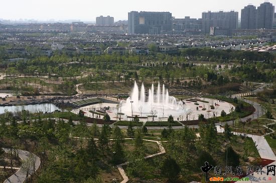 ���@�A�ΏV����Ȫ