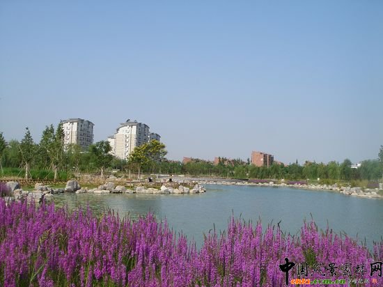 ���^���^