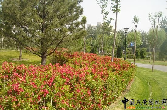 �t�����\������Ч��