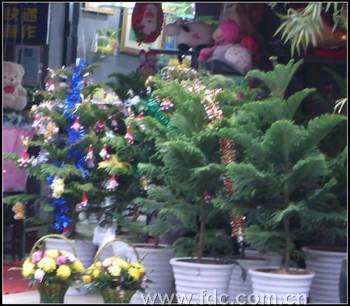 ʥ�Q������ ��h���л��r�q�݃���