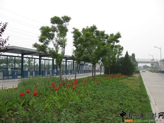 �c�Y����