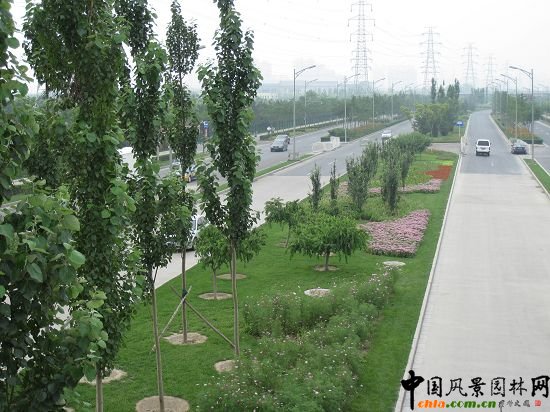 ��ҕ��Ч��