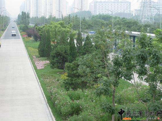 ��ҕ��Ч��