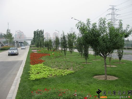 ���g���x���쾰