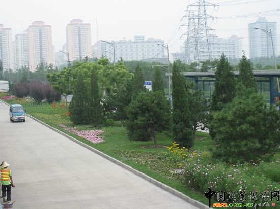 ֲ������